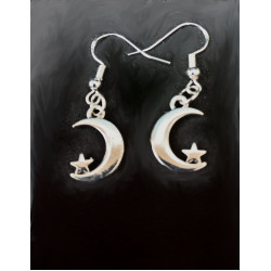 1/4 Moon & Star Earrings