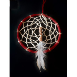 Earth Dreamer Dreamcatcher