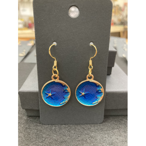 Moon/Star Earrings